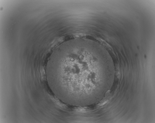 X0000074340523200609011631