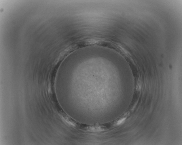 X0000074340524200609011631