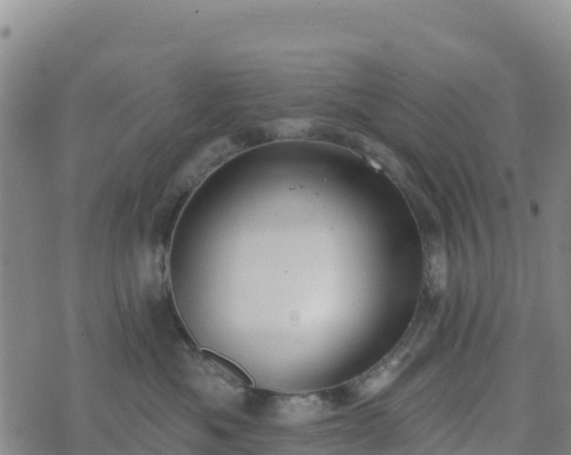 X0000074340525200609011631