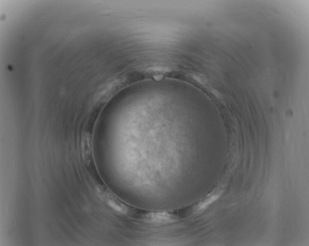 X0000074340528200609011631