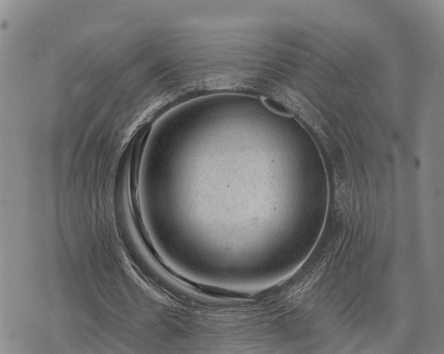 X0000074340530200609011630