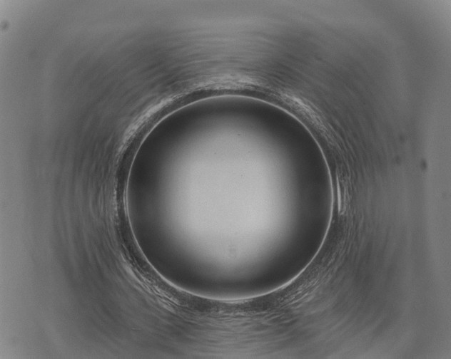 X0000074340531200609011630