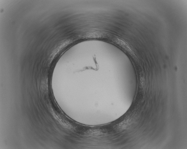 X0000074340534200609011630