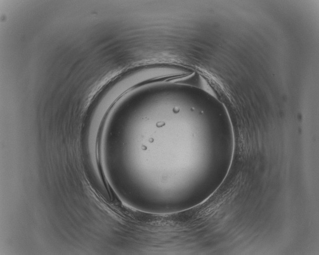 X0000074340535200609011630