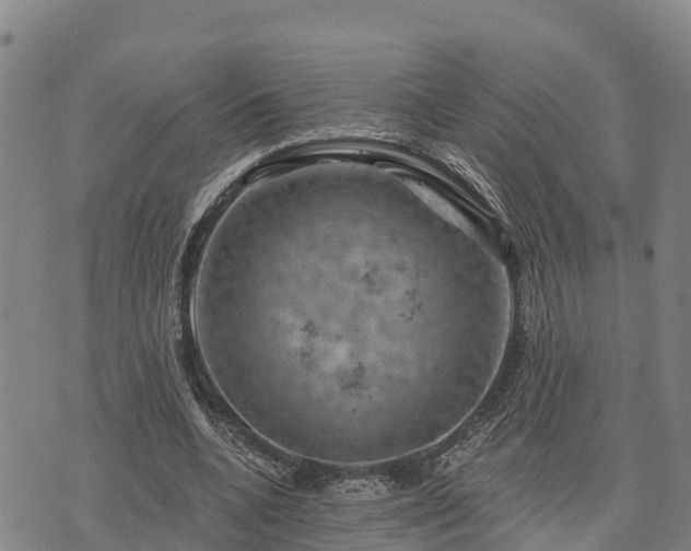 X0000074340536200609011630