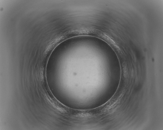 X0000074340537200609011630