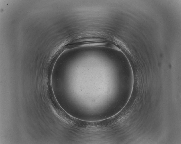 X0000074340538200609011630