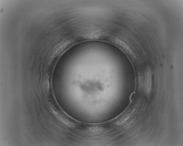 X0000074340541200609011630