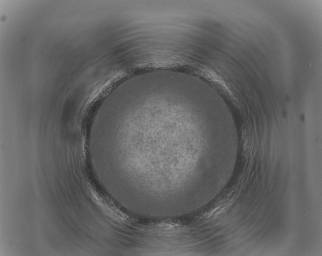 X0000074340542200609011630