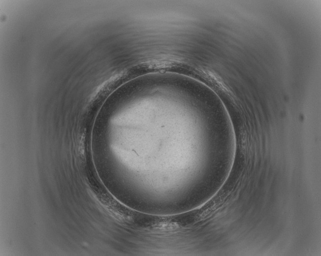 X0000074340543200609011630