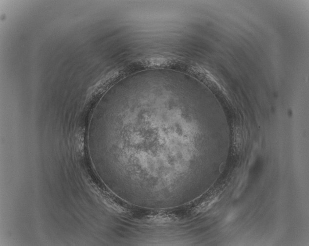 X0000074340545200609011630