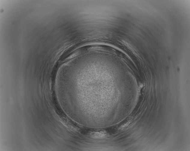 X0000074340548200609011630