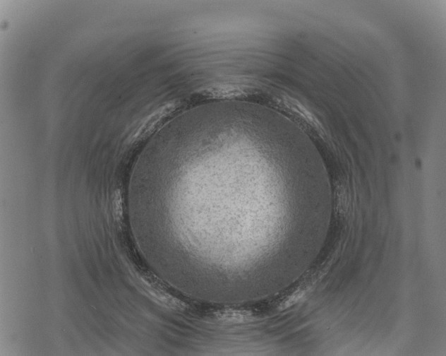 X0000074340549200609011630