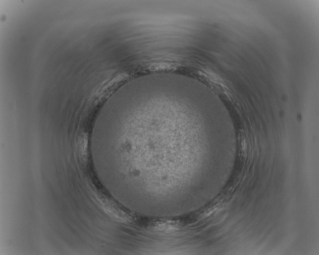 X0000074340550200609011630