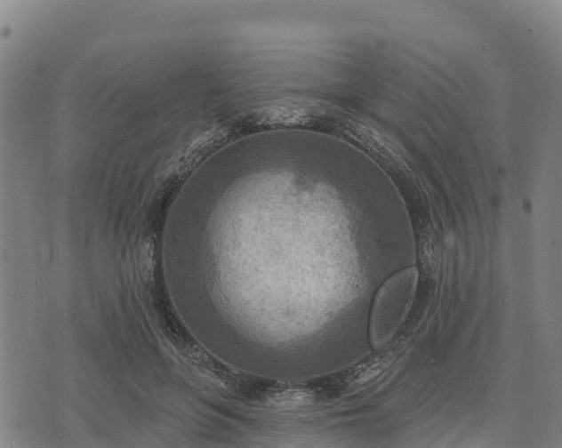 X0000074340551200609011630