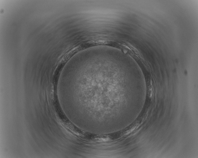 X0000074340552200609011630