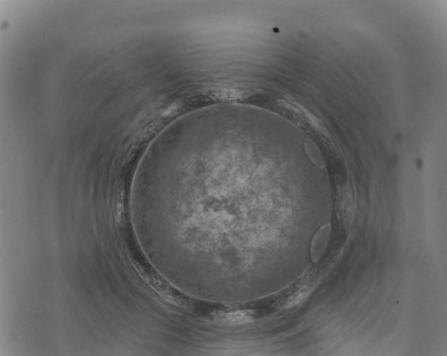 X0000074340553200609011630