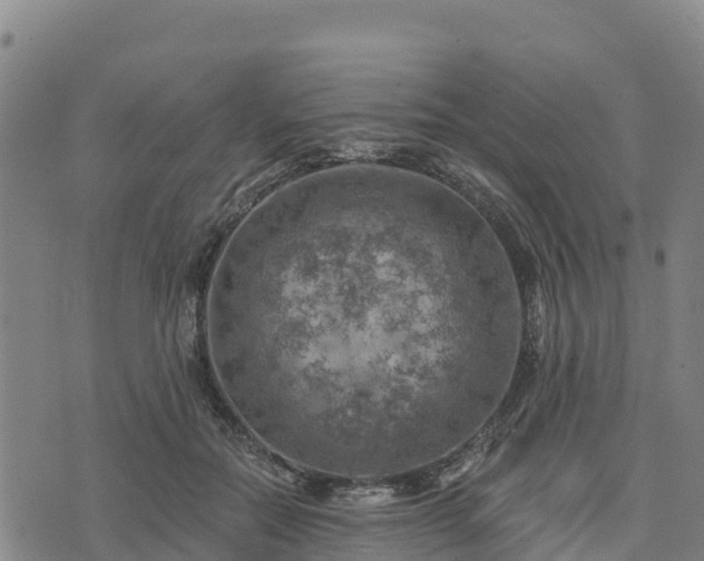 X0000074340554200609011631