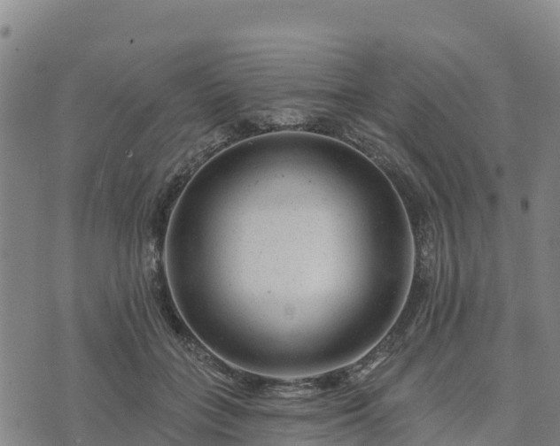 X0000074340555200609011631