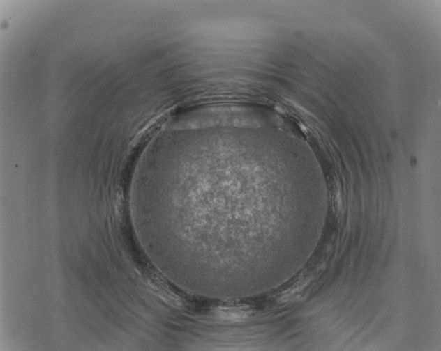 X0000074340556200609011631