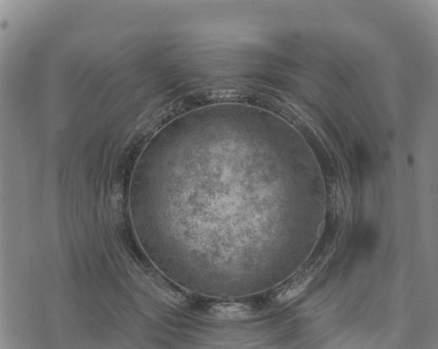 X0000074340557200609011631