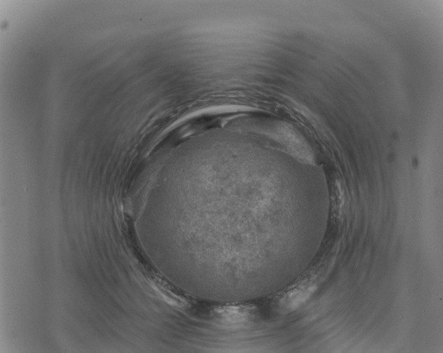 X0000074340558200609011631