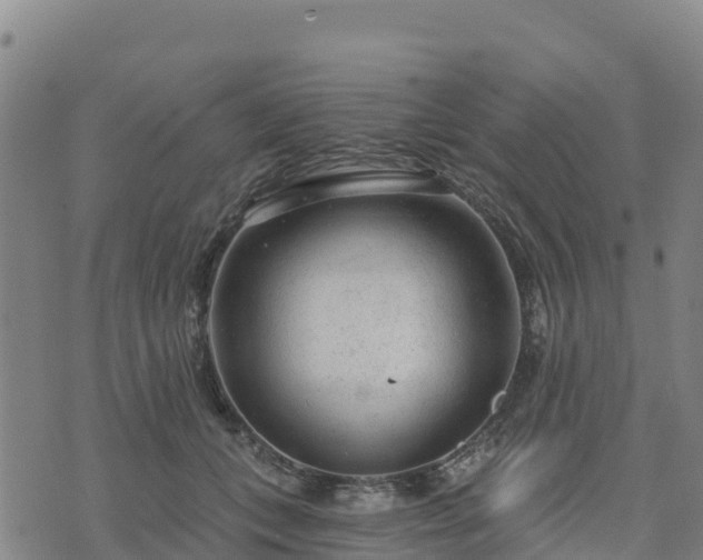 X0000074340559200609011631