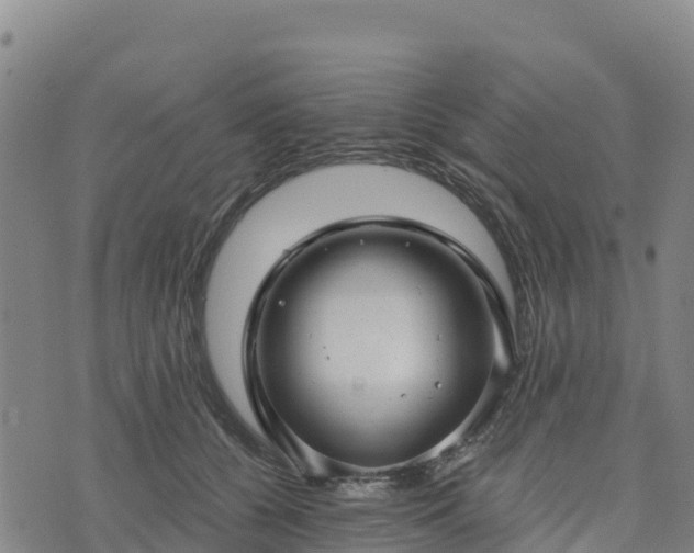 X0000074340560200609011631