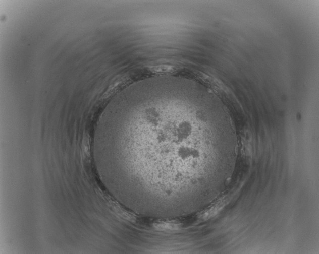 X0000074340561200609011631