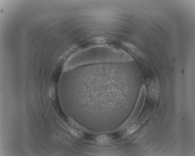 X0000074340562200609011631