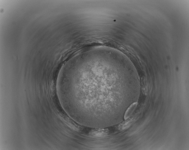 X0000074340563200609011631