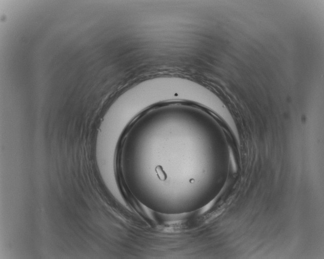 X0000074340564200609011631