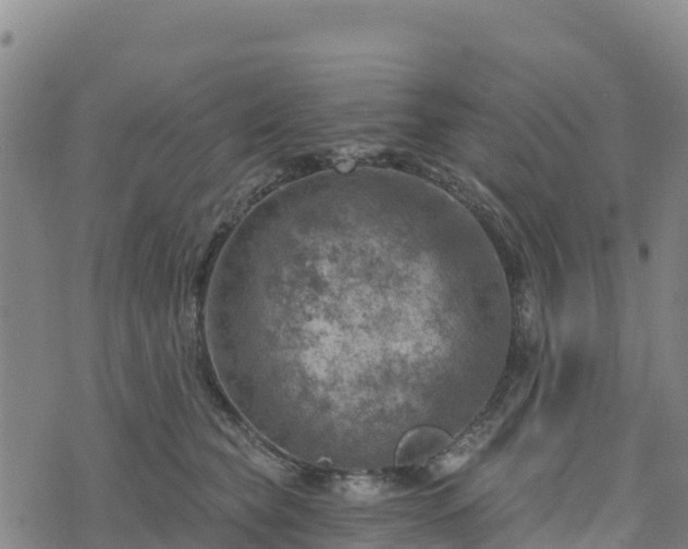 X0000074340565200609011631