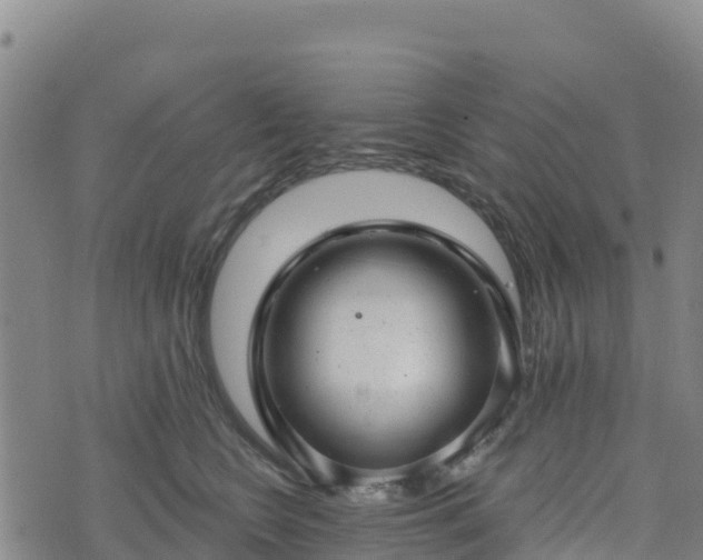 X0000074340566200609011631