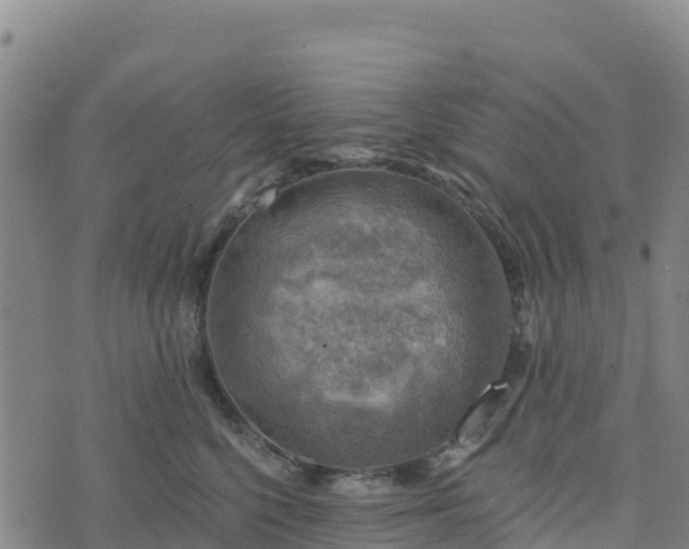 X0000074340568200609011631