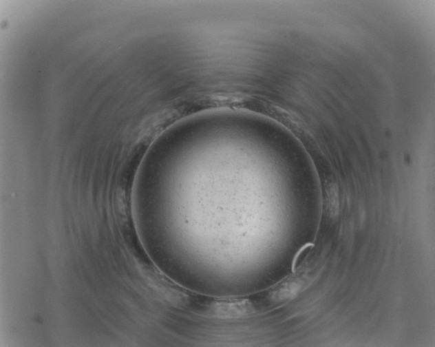 X0000074340571200609011631