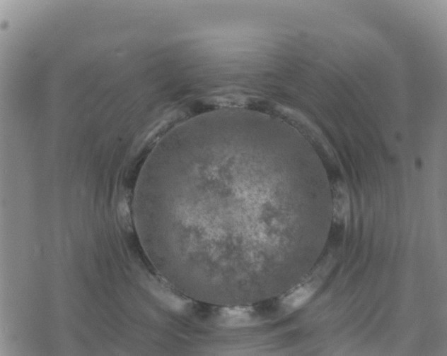 X0000074340573200609011631