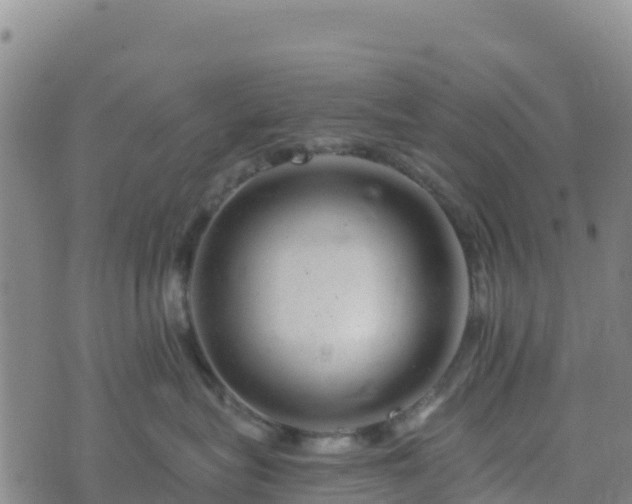 X0000074340575200609011631