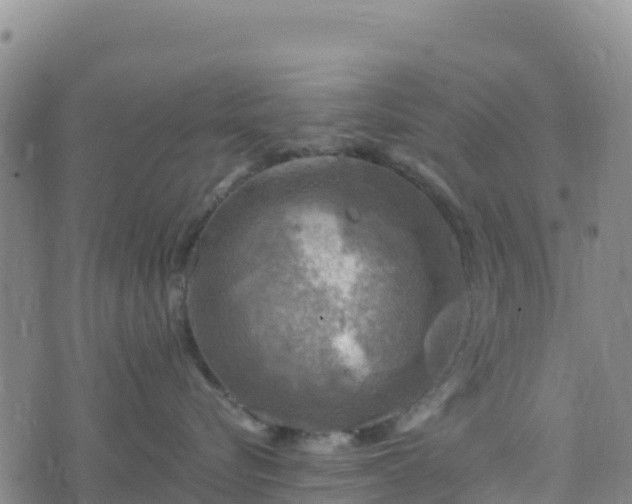 X0000074340576200609011631