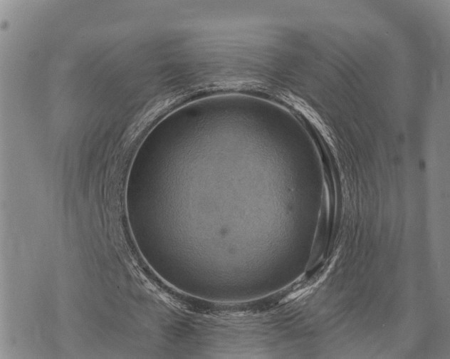 X0000074340577200609011630