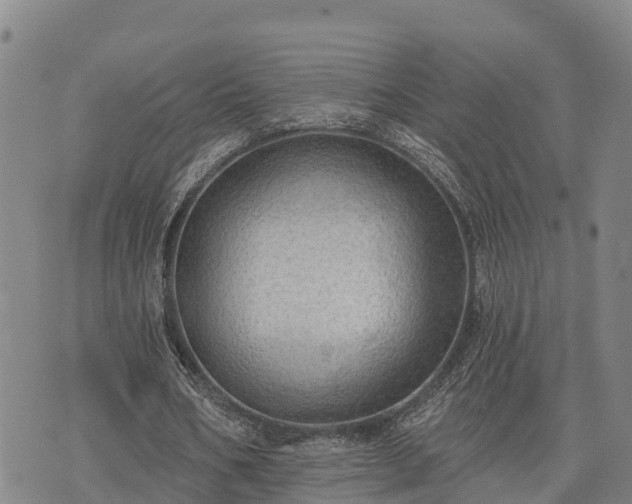 X0000074340578200609011630