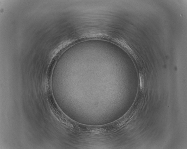 X0000074340579200609011630