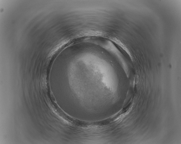 X0000074340581200609011630