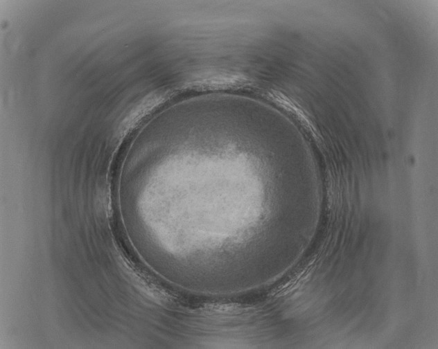 X0000074340582200609011630