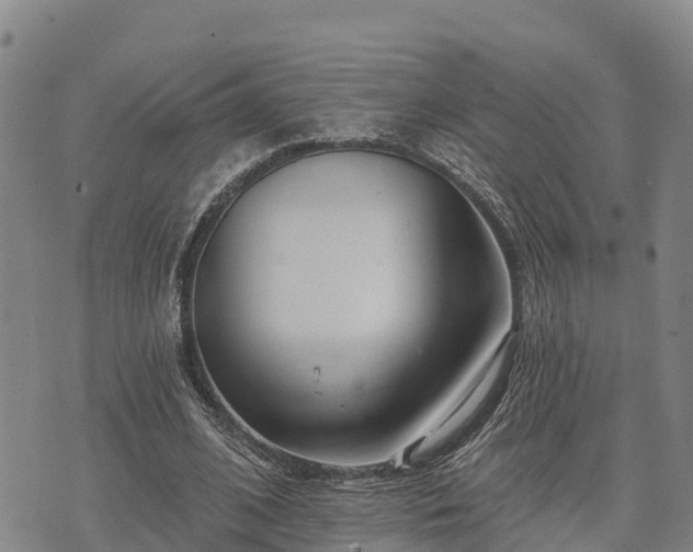 X0000074340584200609011630