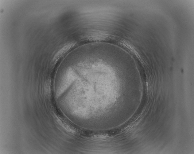 X0000074340586200609011630