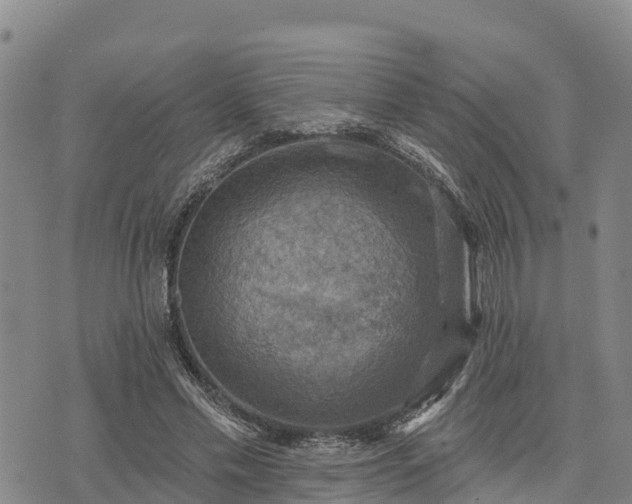 X0000074340589200609011630