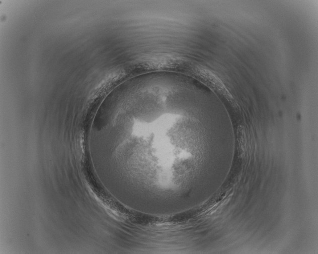 X0000074340590200609011630