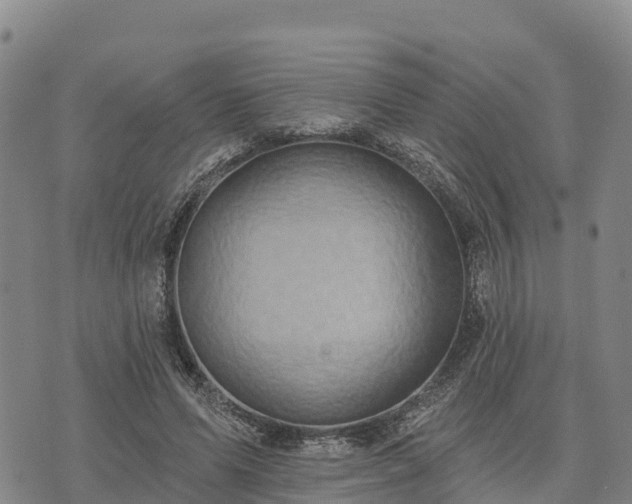 X0000074340591200609011630