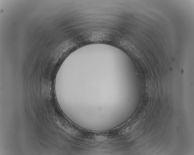 X0000074340592200609011630